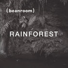 棲地雨林 Rainforest｜中焙