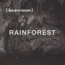 棲地雨林 Rainforest｜中焙
