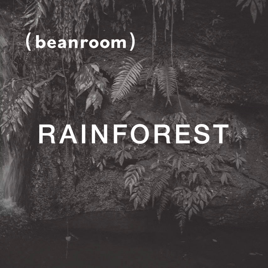 棲地雨林 Rainforest｜中焙