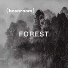 迷境森林 Forest｜深焙