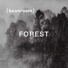 迷境森林 Forest｜深焙