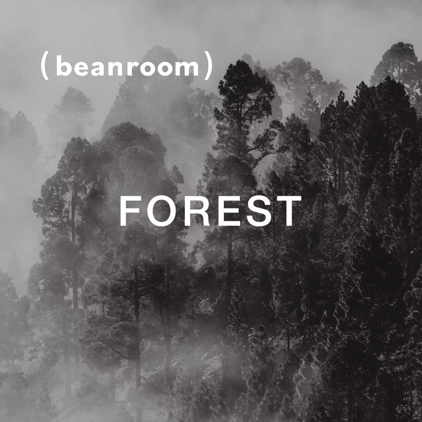 迷境森林 Forest｜深焙